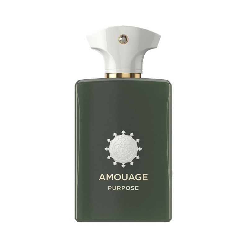 عطر آمواج پرپس (پورپس) | Amouage Purpose حجم 100 میل