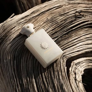 عطر ادکلن آمواج دسیژن | Amouage Decision