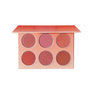 پالت رژگونه 6رنگ شیگلم