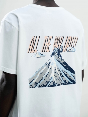 damavand twh