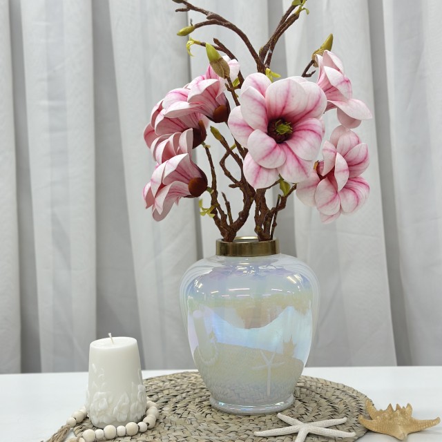 گل مگنولیا سفید