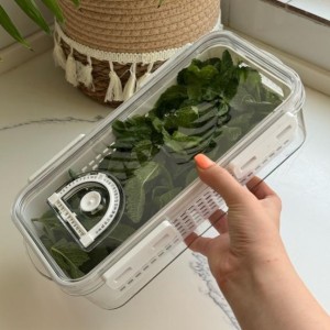 باکس یخچالی تاریخ دار