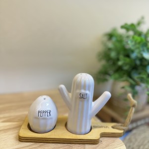 ست نمکدون کاکتوس رومیزی