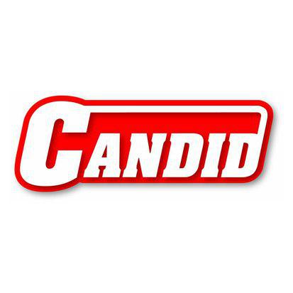 کاندید