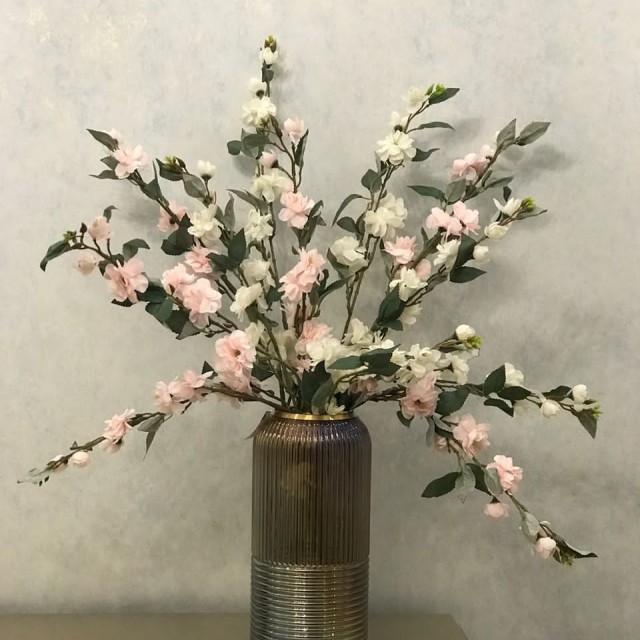 شکوفه دو بازو