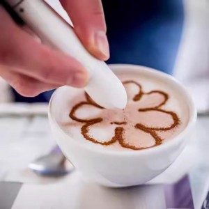 قلم تزیین و طراحی غذا