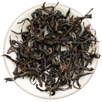 SarCheshmeh Hand Picked 2024