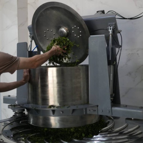 دستگاه مالش چای تمام پنوماتیک 65 کیلویی ۱۴۰۳