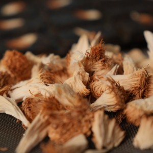 چای سیاه ترکیب قارچ ، خشتبار 85 گرمی