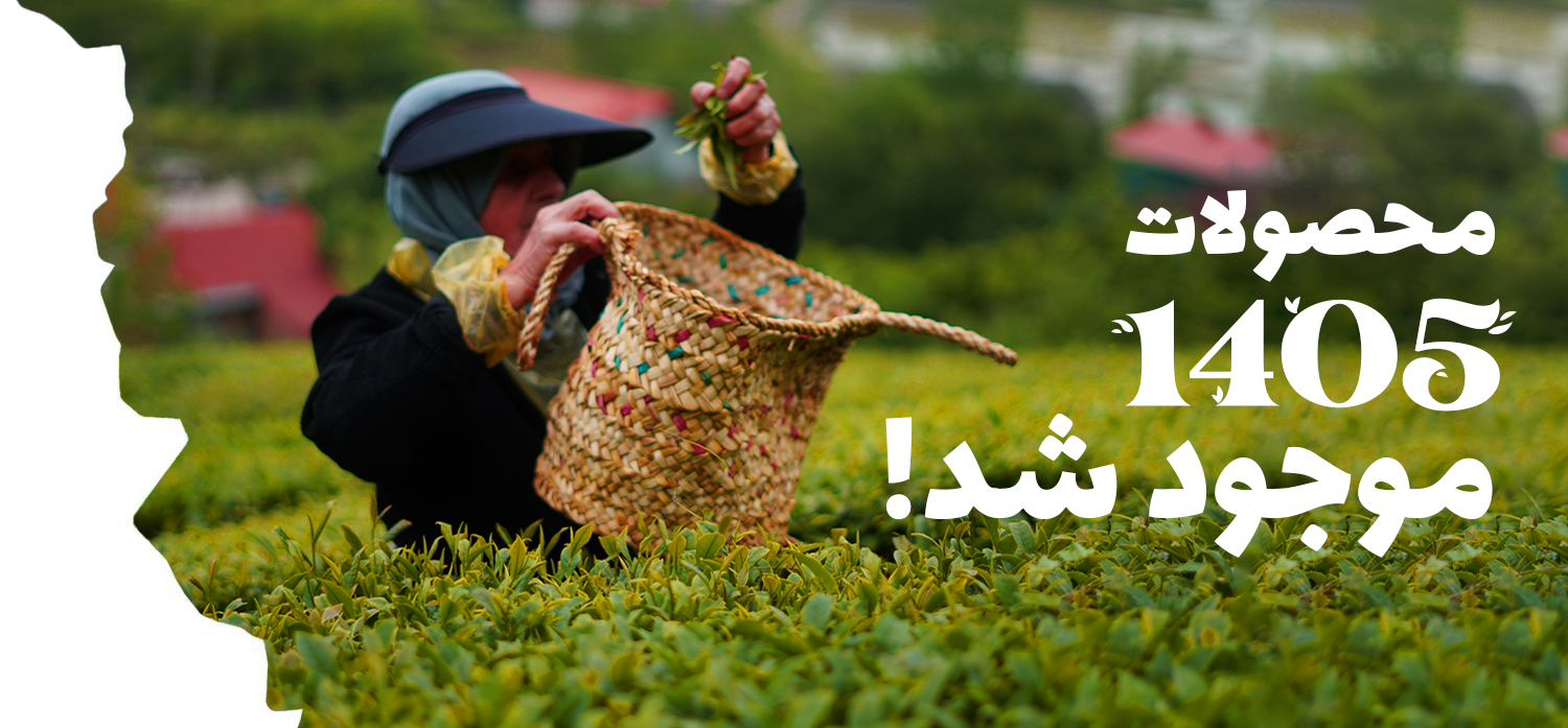 محصولات 1405