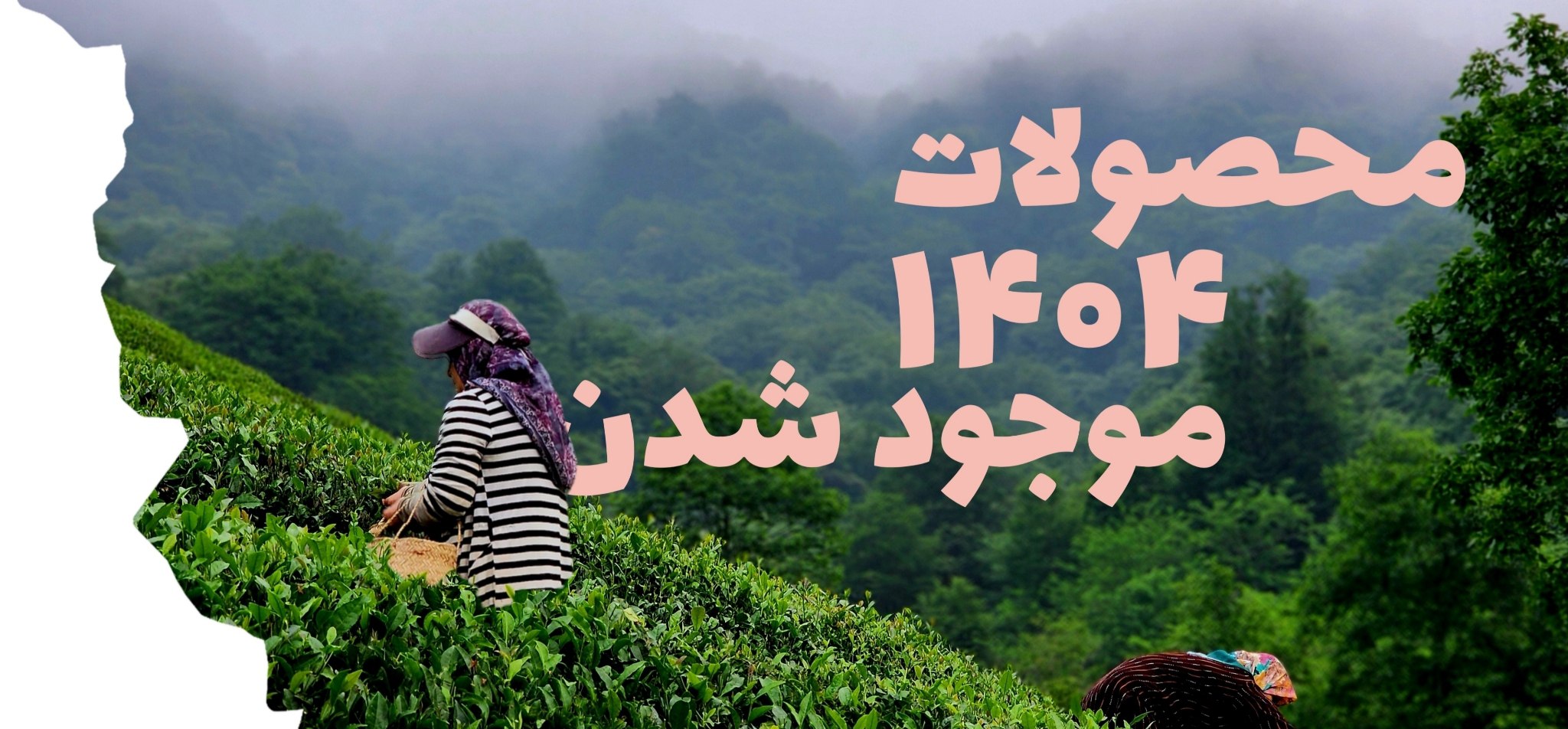 محصولات 1404