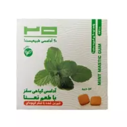 آدامس سقز نعناع بیست 14 عددی