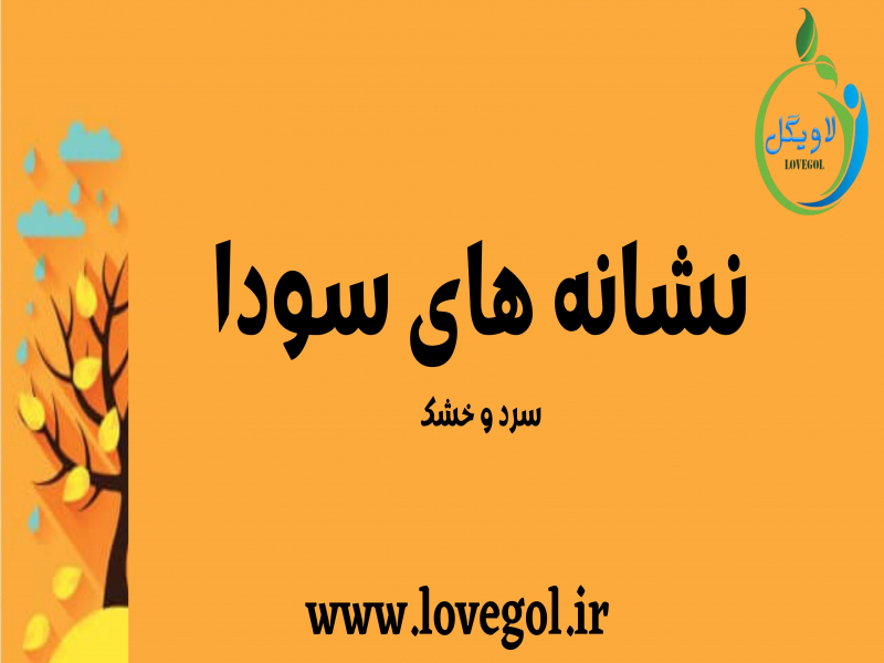 نشانه های سودا