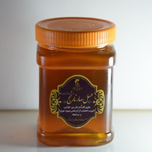 عسل بهار نارنج یک کیلوی