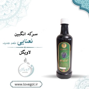 سرکه انگبین نعنایی ویژه