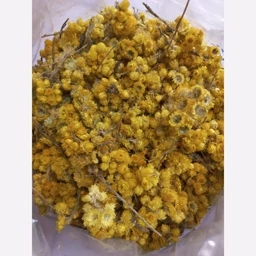 افسنطین (خاراگوش)