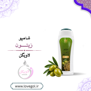 شامپو زیتون ۳۰۰ گرم | شامپو گیاهی مراقبت از مو