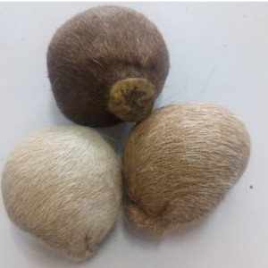 ناف آهو اصل (مشک آهو ) هدیه ای ماندگار و ارزشمند
