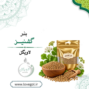 بذر گشنیز ۱۱۰ گرم | ادویه و چاشنی
