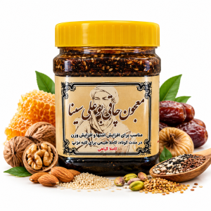 معجون چاقی بوعلی سینا ۵۵۰ گرم | معجون عسل و مغزها
