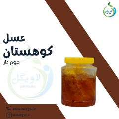عسل کوهستان  موم دار یک کیلوگرم