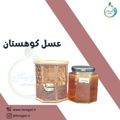 عسل کوهستان یک کیلوگرم