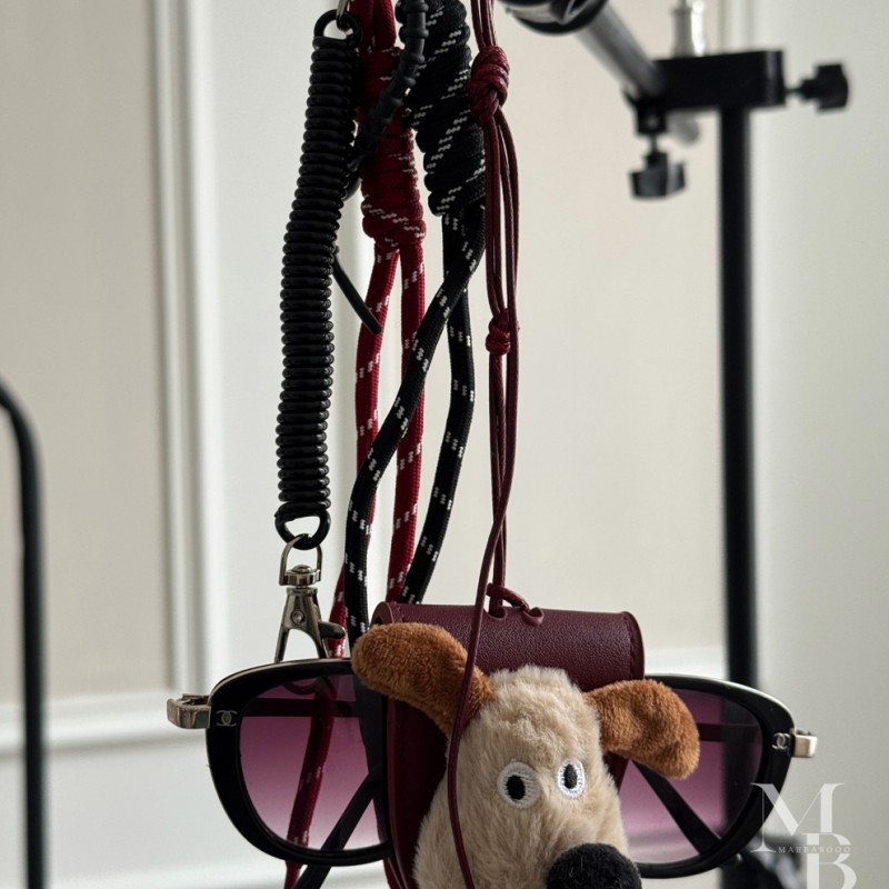 چارم بگ و جای عینکی داگی