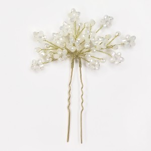 سنجاق شینیون گلگلی