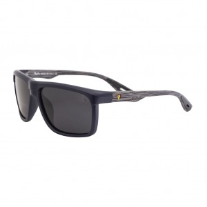 عینک آفتابی ری بن فراری  RAY BAN FERRARI کد 3014 رنگ سرمه ای