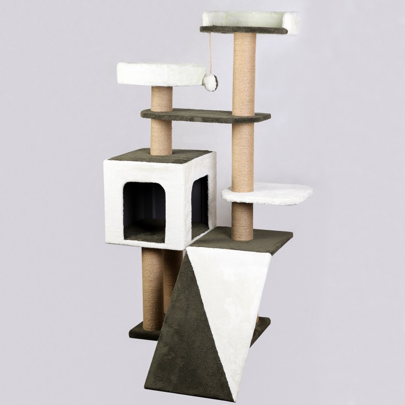 اسکرچر گربه مدل کارو از برند هاچی