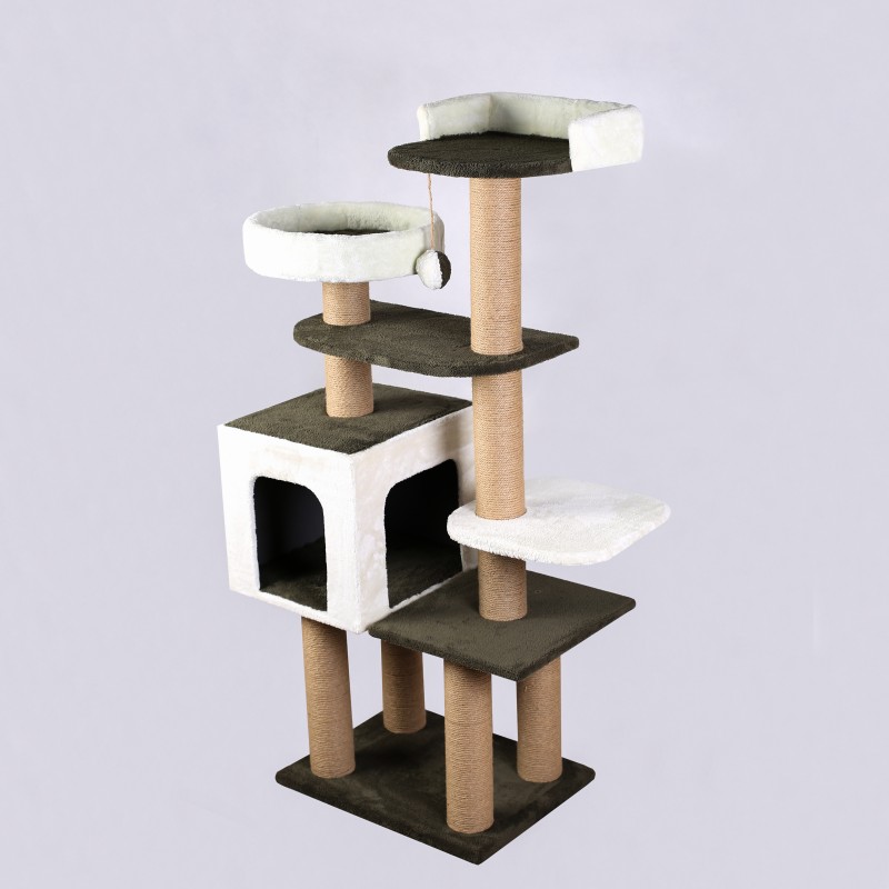 اسکرچر گربه مدل کارو از برند هاچی