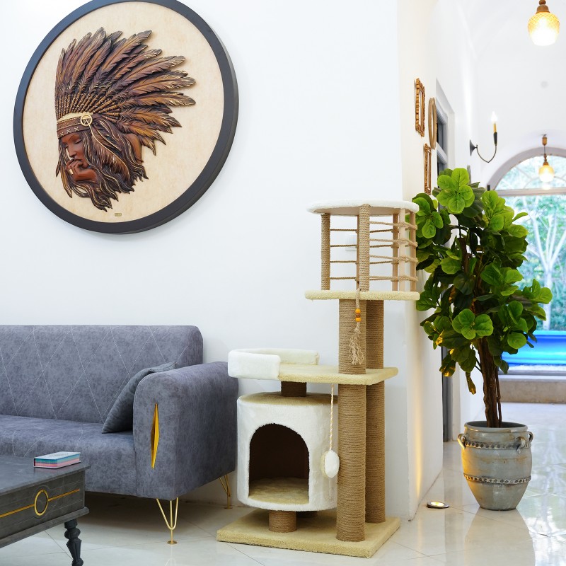 اسکرچر  گربه مدل کوکو از برند هاچی