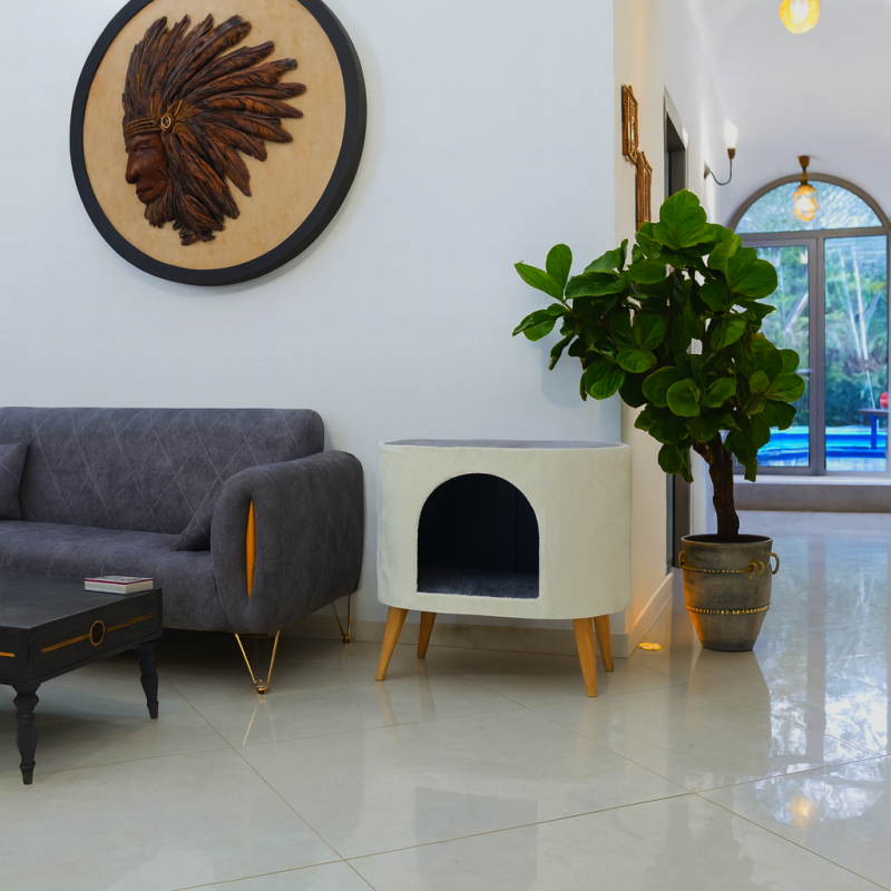 پاف هوم گربه مدل طلا از برند هاچی