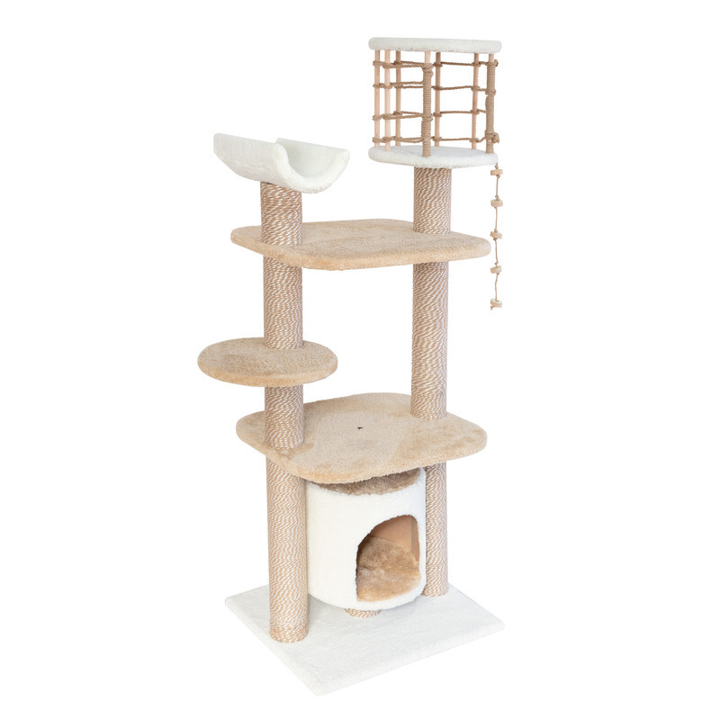 اسکرچر گربه مدل کندو از برند هاچی