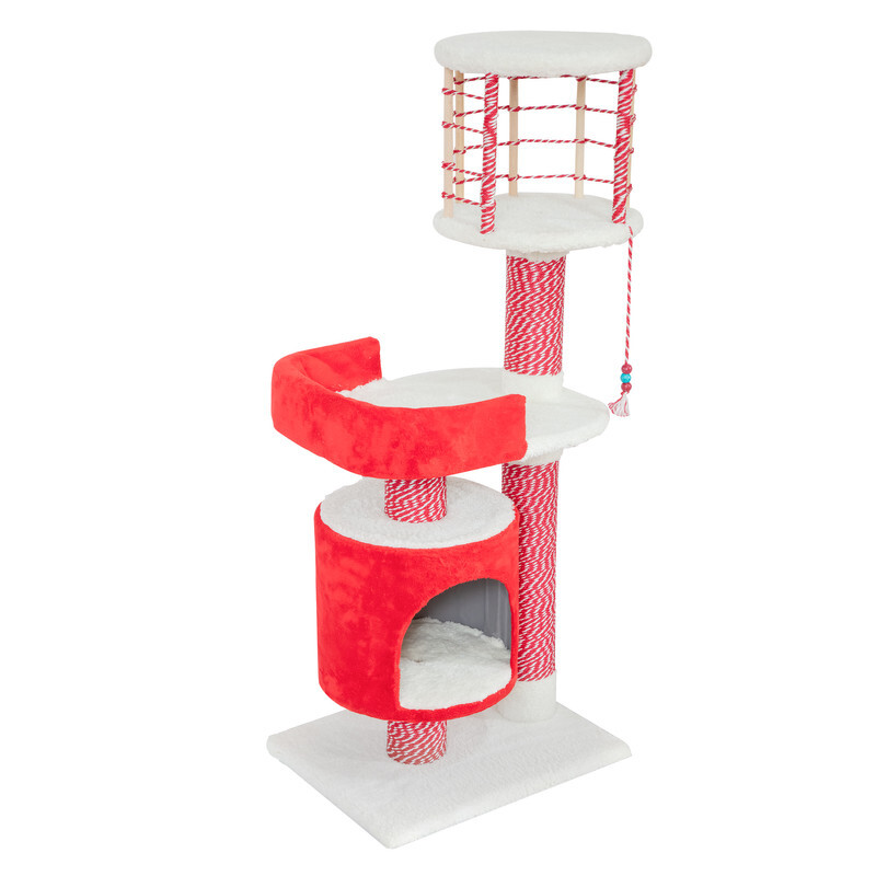 اسکرچر گربه مدل ملودی از برند هاچی