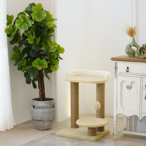 اسکرچر گربه مدل گیلی از برند هاچی