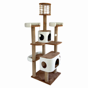 اسکرچر گربه مدل ایفل از برند هاچی