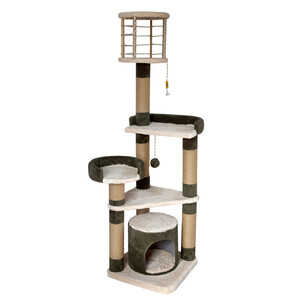 اسکرچر گربه مدل دیاکو از برند هاچی