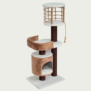 اسکرچر گربه مدل ملودی از برند هاچی