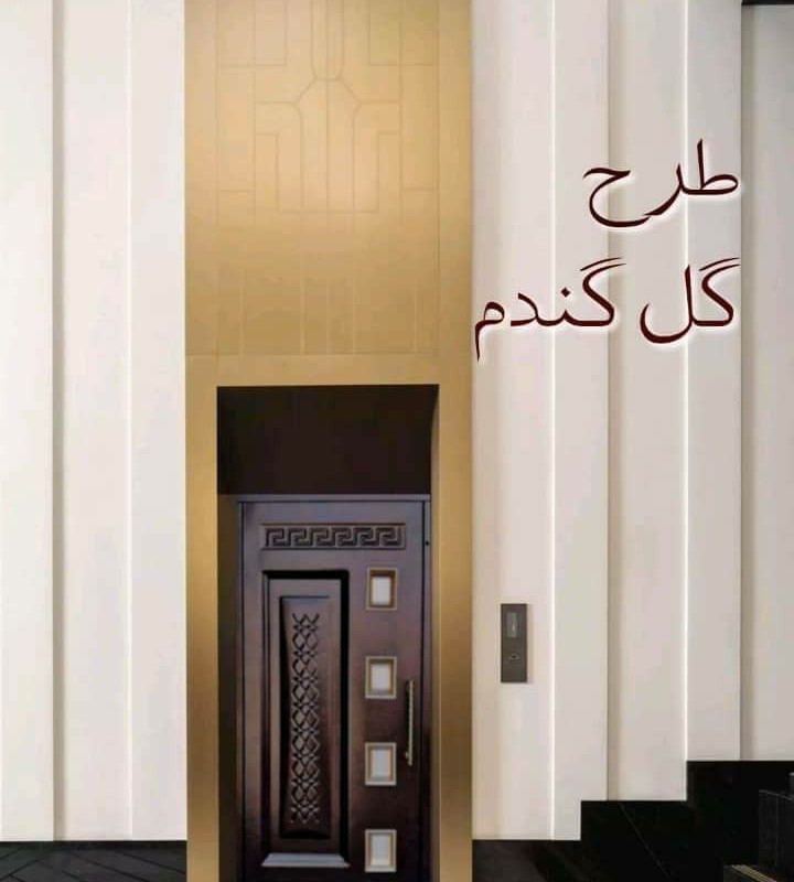درب آسانسور طبقات لولایی