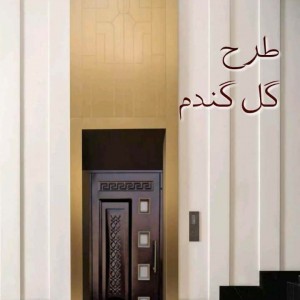 درب آسانسور طبقات لولایی