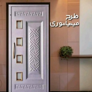 درب آسانسور طبقات لولایی