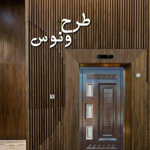 درب آسانسور طبقات لولایی