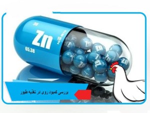 نیاز به روی و علائم کمبود تحت تأثیر مواد غذایی است.
در جیره‌های فرموله شده ، نشان دادن پاسخ به سطوح روی بسیار بالاتر از 25 تا 30 میلی‌گرم بر...