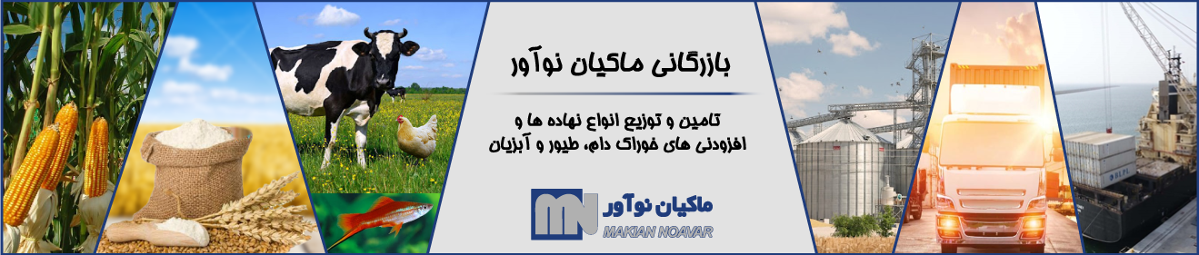 بنر 5 بازرگانی