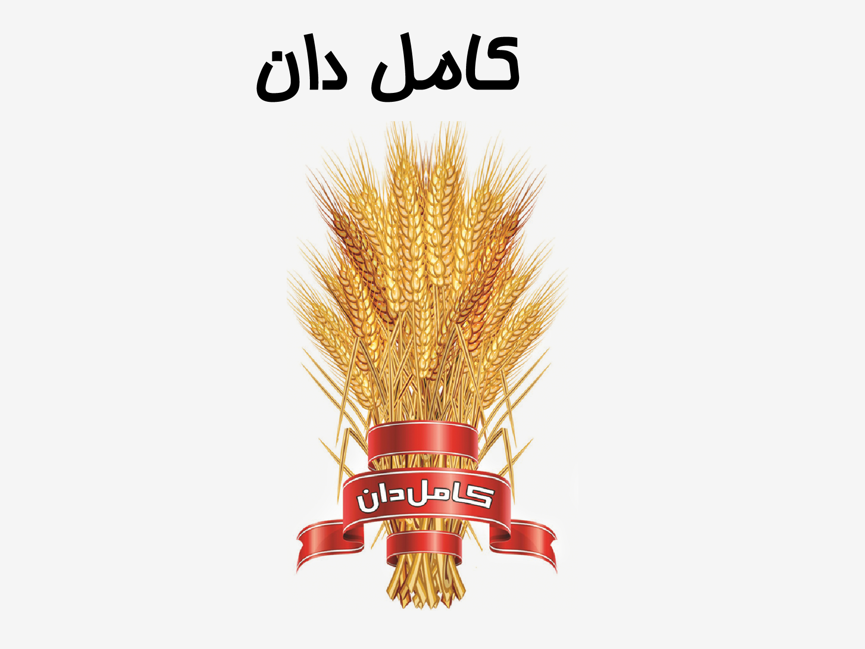 کامل دان