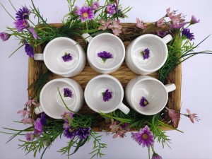 ست فنجان پذیرایی دست ساز سرامیکی رنگ سفید مدل روحی