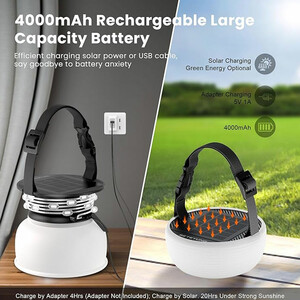 چراغ ریسه ای و لامپ