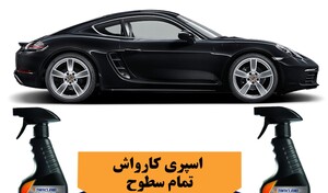 اسپری کارواش بدون آب تام کلین Tam Clean TC_DB480Y22 Wash& Wax Car