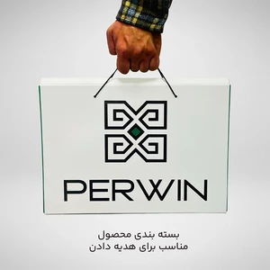 فروش کیف لپ تاپ پِروین مناسب برای لپ تاپ 13، 14 و 16 اینچی مدل توسکا